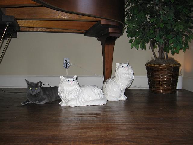 IMG_0331.JPG - Smokey and friends