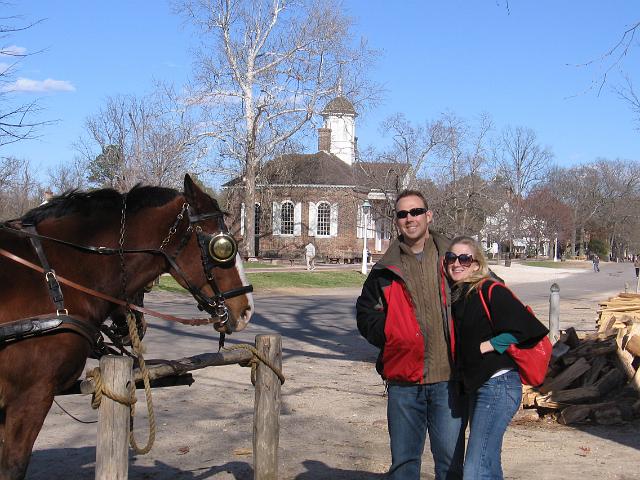 IMG_0739.JPG - Horse in Williamsburg